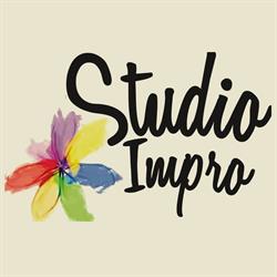 Oana Pocan - Studio Impro, Cluj-Napoca program de funcționare