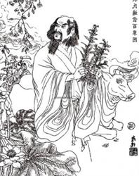 Shennong, Timişoara program de funcționare
