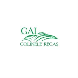 GAL Colinele Recaş, Cerneteaz program de funcționare