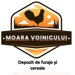 Depozituldefuraje.ro, Roman program de funcționare
