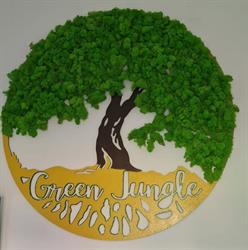 Green Jungle, Timişoara program de funcționare
