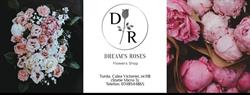 Dream's Roses, Turda program de funcționare