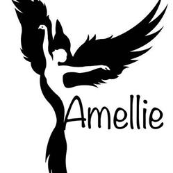 Amellie Bacau, program de funcționare