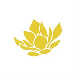 Floraria Bloom Petrosani, program de funcționare