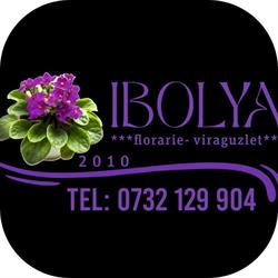 Floraria Ibolya Viraguzlet, Săcele program de funcționare