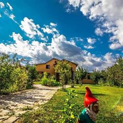 Party House Bulbucata, program de funcționare