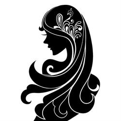 Shyck Salon Rădăuţi, program de funcționare
