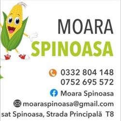 Moara Spinoasa, program de funcționare
