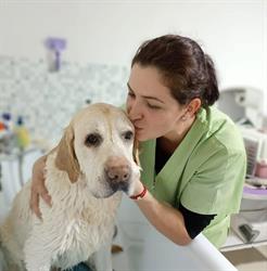 MushyPet Frizerie Canina, Piatra-Neamţ program de funcționare