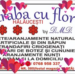 Taraba cu flori, Hălăuceşti program de funcționare