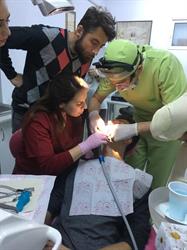 Dr. Nicolae Cazacu, Bucureşti program de funcționare