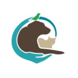 Cabinet Veterinar Valu Dr Neagu Rebeca, Valu lui Traian program de funcționare