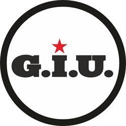 Salon GIU Arad, program de funcționare