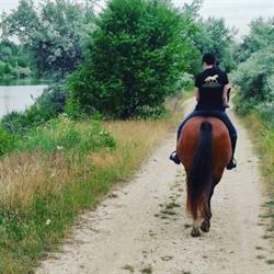 Horseland Năvodari, Mamaia program de funcționare
