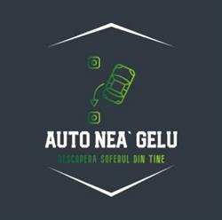 Scoala De Soferi Auto Nea' Gelu, Timişoara program de funcționare