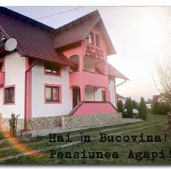 Pensiunea Agapi, Suceviţa program de funcționare