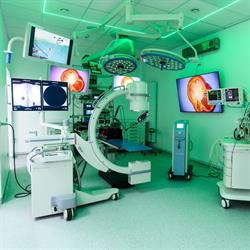 Centru de Endoscopie si Chirurgie Minim Invaziva Veterinara, Bucureşti program de funcționare
