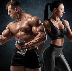Elit Fit Force, Carei program de funcționare