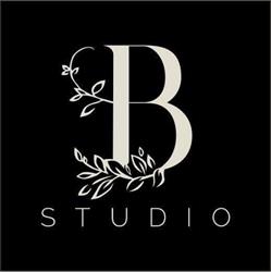 B Studio, Alba Iulia program de funcționare