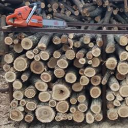 Depozit cherestea şi lemn de foc Ţăndărei, program de funcționare