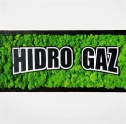 Hidro Gaz Grup, Geamăna program de funcționare