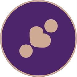 Institutul de Terapie Familială şi Practică Sistemică Areopagus, Timişoara program de funcționare