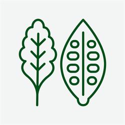 Green Kitchen, Târgu Mureş program de funcționare