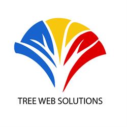 Tree Web Solutions, Timişoara program de funcționare