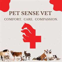 Cabinet Veterinar Pet Sense Vet Câmpina, program de funcționare