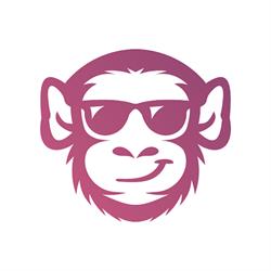 Zoo Digital - Agenţie SEO şi Dezvoltare Web, Alba Iulia program de funcționare