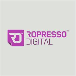 Ropresso Digital, Baia Mare program de funcționare