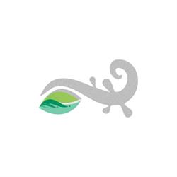 Şcoala Populară de Arte şi Meserii, Sfântu Gheorghe program de funcționare