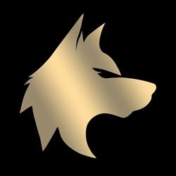 Wolf Concept, Oradea program de funcționare