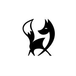 Black Fox Art SRL, Oneşti program de funcționare
