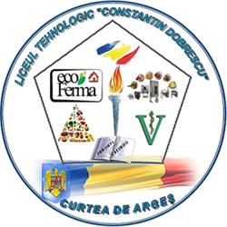 Liceul Tehnologic Constantin Dobrescu, Curtea de Argeş program de funcționare