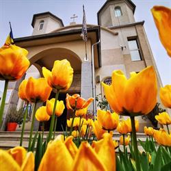 Biserica Naşterea Maicii Domnului, Eforie Nord program de funcționare