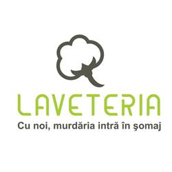 Laveteria, Budeşti program de funcționare