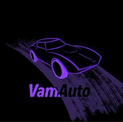 Vam Auto - Parc auto Piteşti - Dealer autorizat, Geamăna program de funcționare