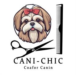 Cani-Chic, Braşov program de funcționare