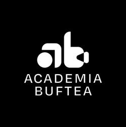 Academia "Studiourile Buftea", Bucureşti program de funcționare