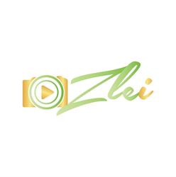 Lavinia Zlei, Iaşi program de funcționare