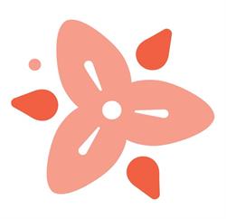 Trillium Media, Valea Lupului program de funcționare