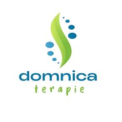 Domnica Terapie, Gilău program de funcționare