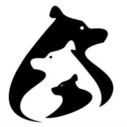Creative Bear, Sibiu program de funcționare