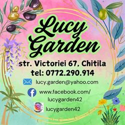 Lucy Garden (Chitila), program de funcționare