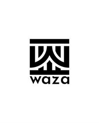 Waza Spa, Timişoara program de funcționare