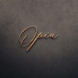 Opia Bucharest, program de funcționare