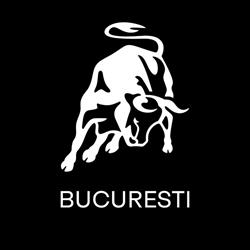 Lamborghini Bucureşti, Voluntari program de funcționare