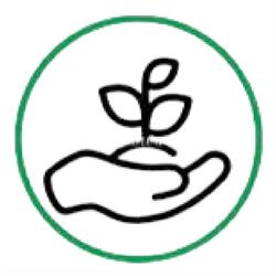 Cash 4 Agri, Bucureşti program de funcționare