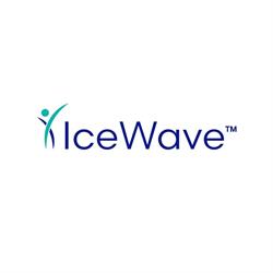 IceWave, Timişoara program de funcționare